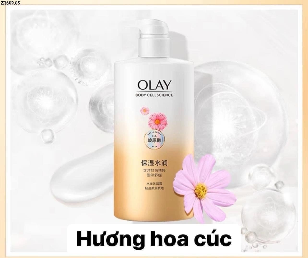 hương hoa cúc