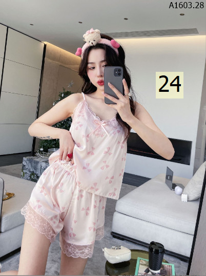 mẫu 24