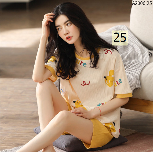 MẪU 25