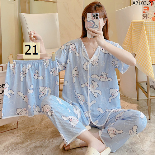 MẪU 21