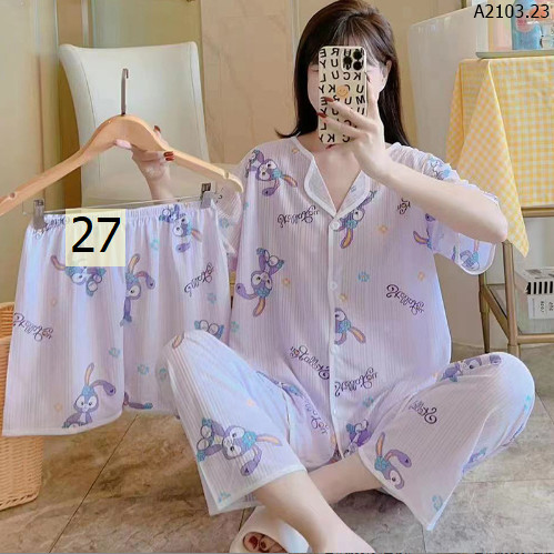 MẪU 27