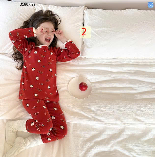 MẪU 2