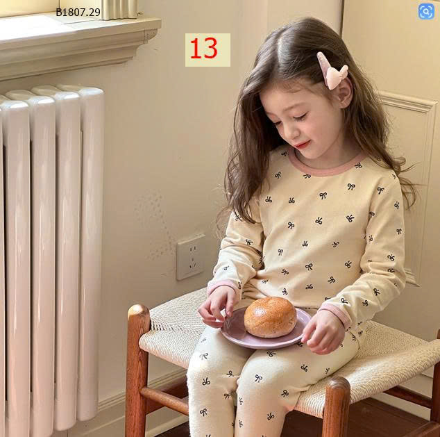 MẪU 13
