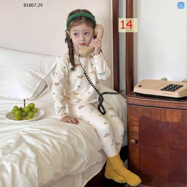 MẪU 14