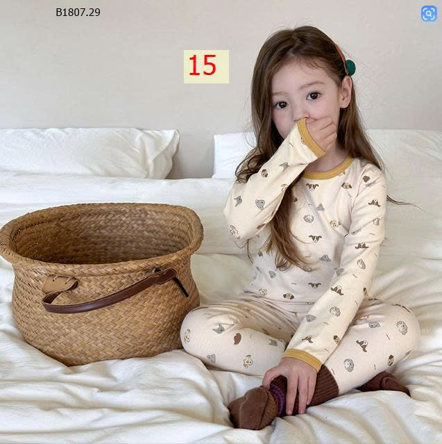 MẪU 15