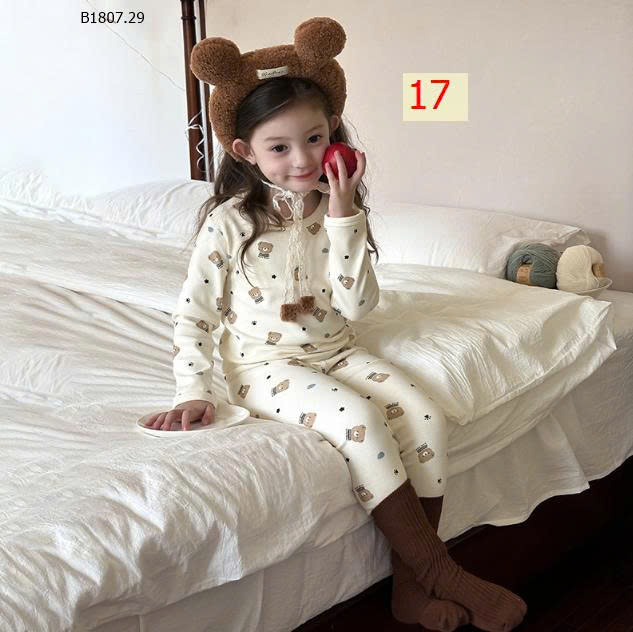MẪU 17