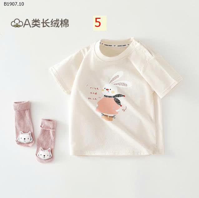 MẪU 5