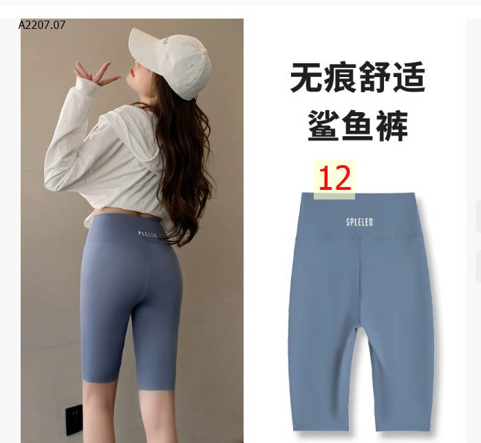 MẪU 12
