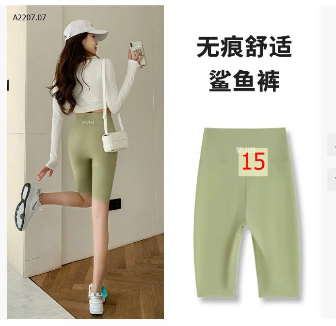 MẪU 15