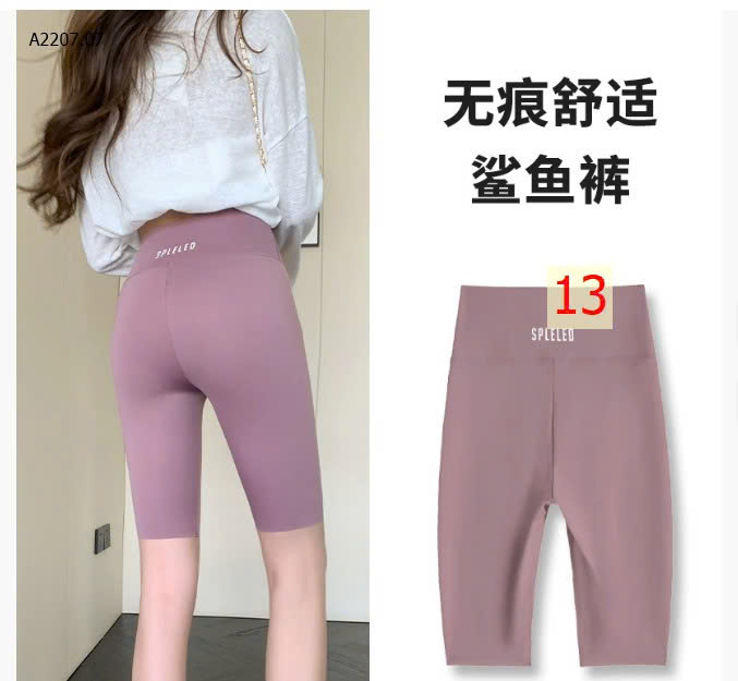 MẪU 13
