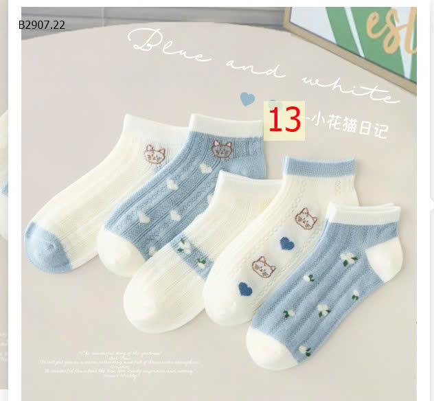 MẪU 13