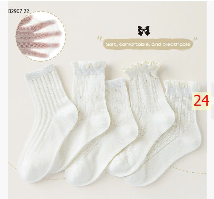 MẪU 24