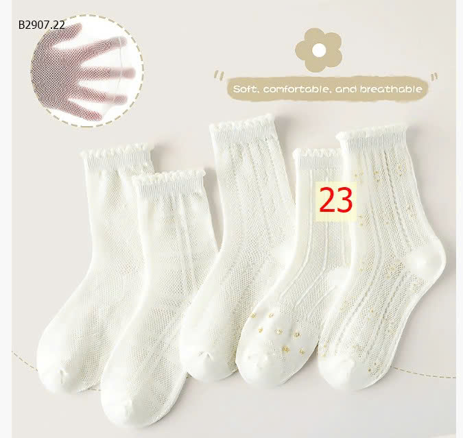 MẪU 23