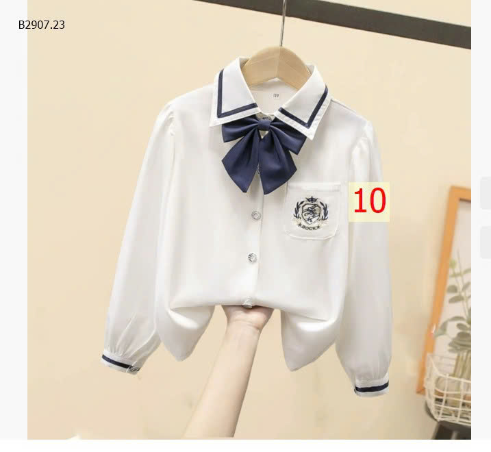 MẪU 10