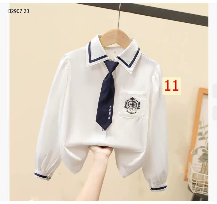 MẪU 11
