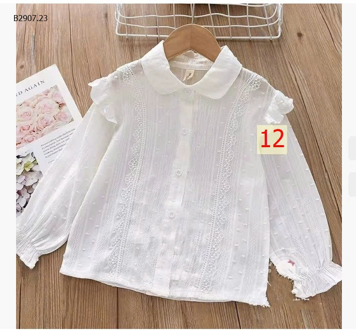 MẪU 12