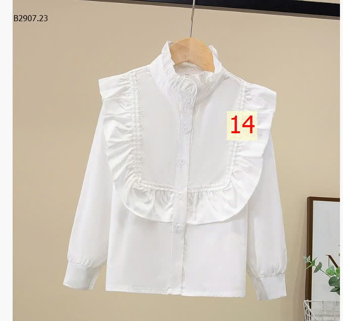 MẪU 14