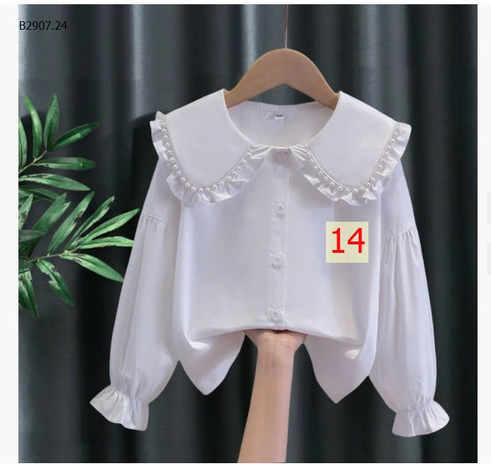 MẪU 14