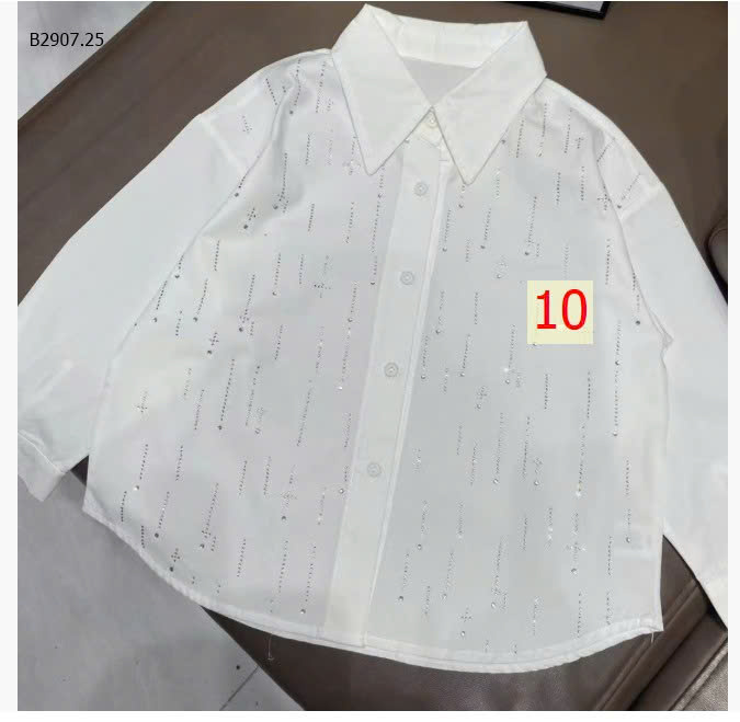 MẪU 10
