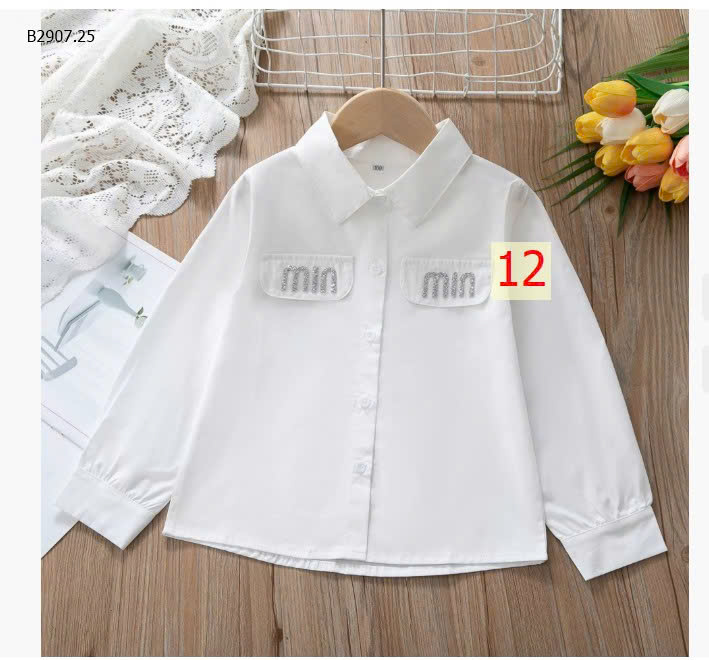 MẪU 12