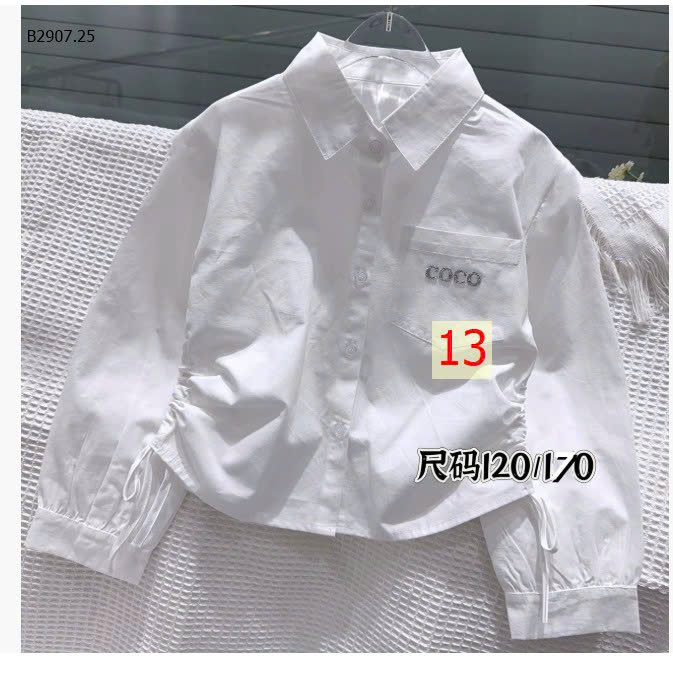 MẪU 13