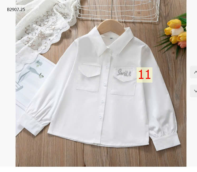 MẪU 11