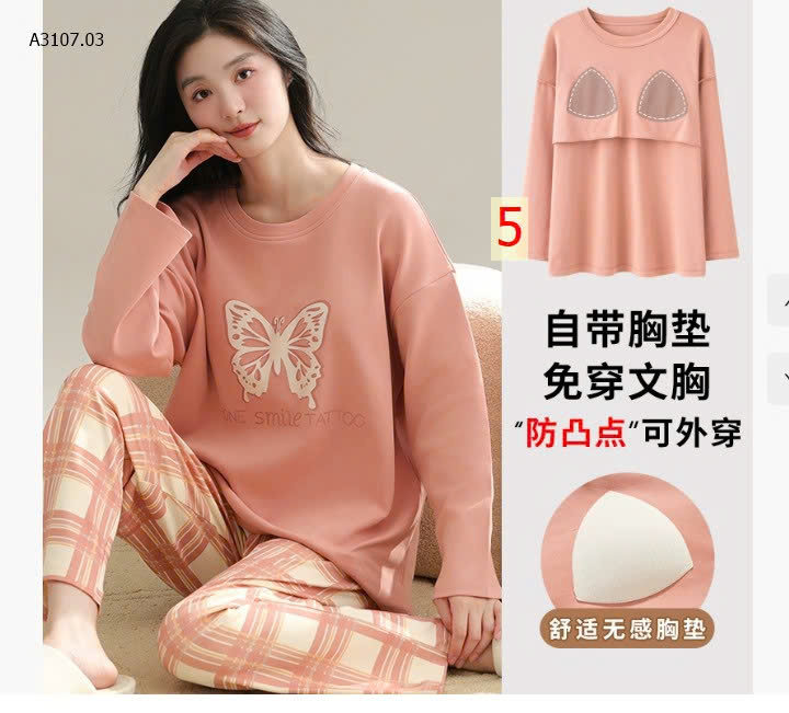 MẪU 5