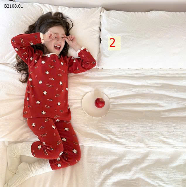 MẪU 2