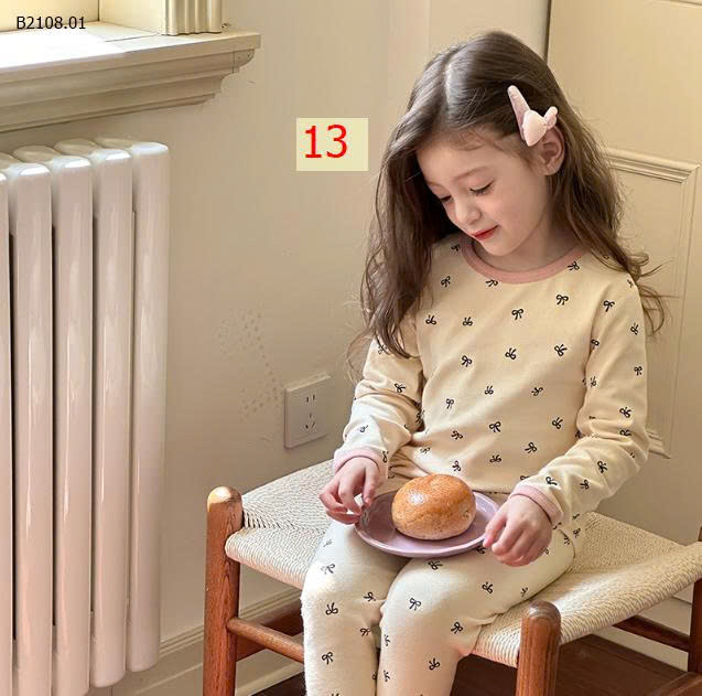MẪU 13