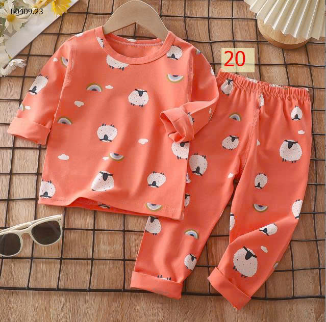 MẪU 20