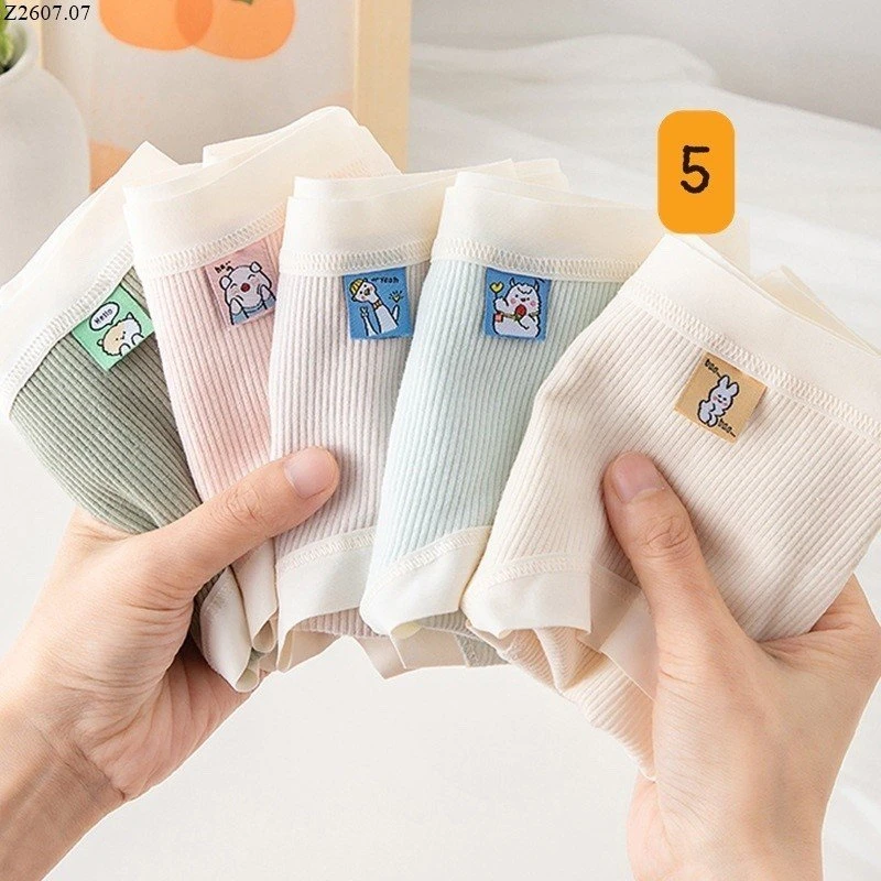 Set 6 quần chip cotton kháng khuẩn si 83k/set 6c