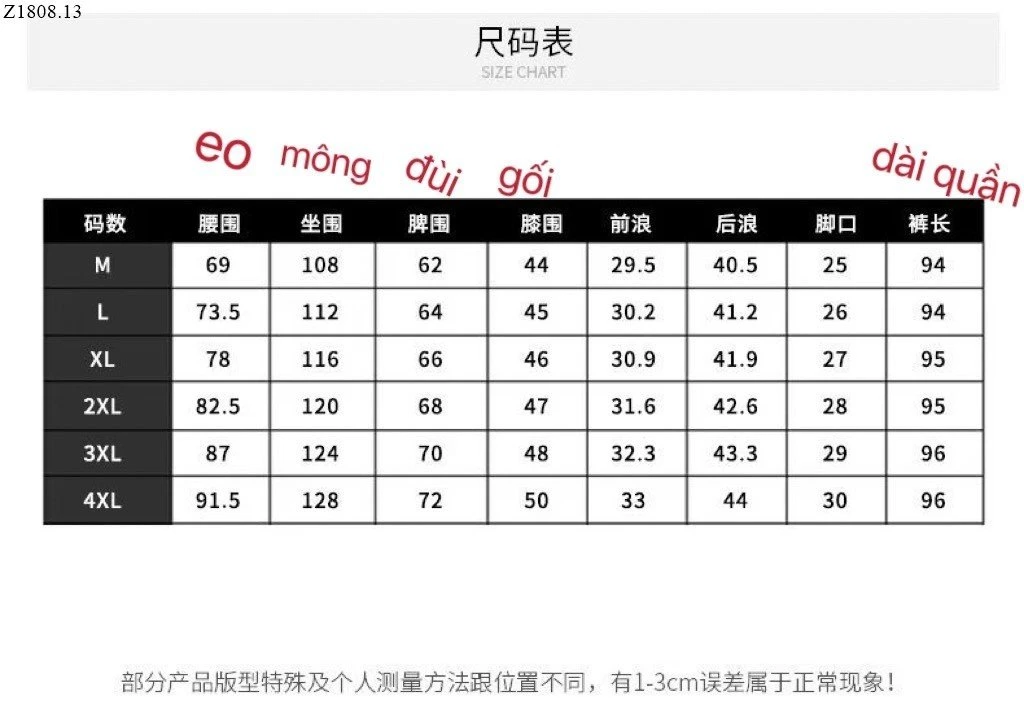 QUẦN THỂ THAO CHUN GẤU THÔNG HƠI MÙA HÈ CHO NAM Si 110k/1 chiếc