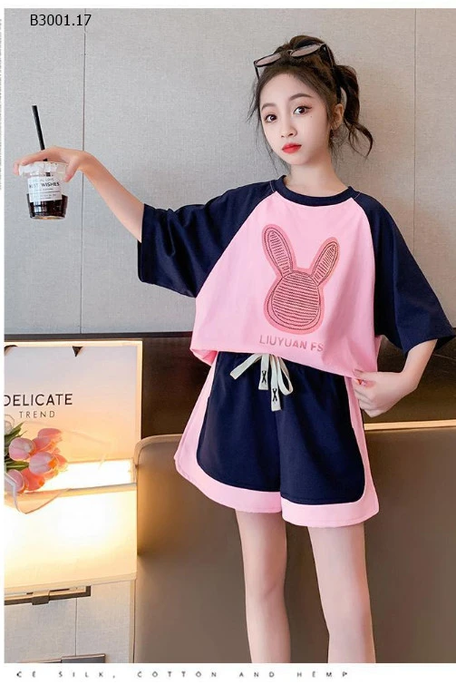    BỘ THỂ THAO RAGLAN IN THỎ CHO BÉ -sỉ 128k/bộ