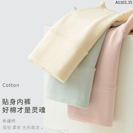 SET 5 QUẦN CHIP COTTON CẠP CAO KHÁNG KHUẨN sỉ 153k/set 5c mix màu