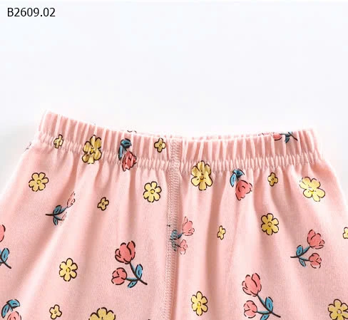 BỘ COTTON DÀI TAY CHO BÉ XUẤT HÀN SIÊUU ĐẸP- sỉ Size 90-130: 97k Size 140-160: 107k