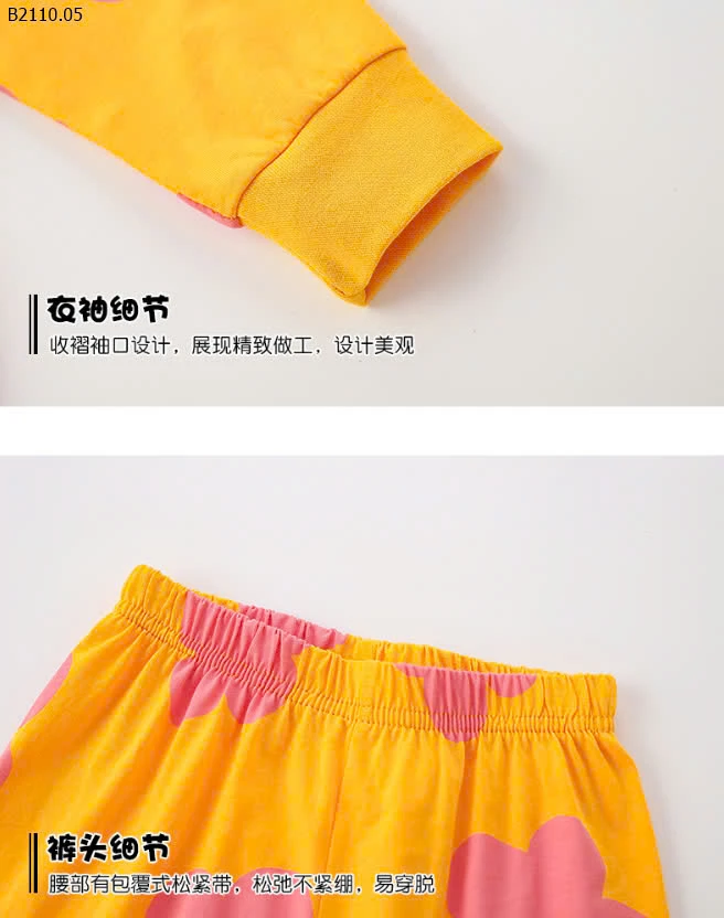 BỘ COTTON Malwee-sỉ 107k