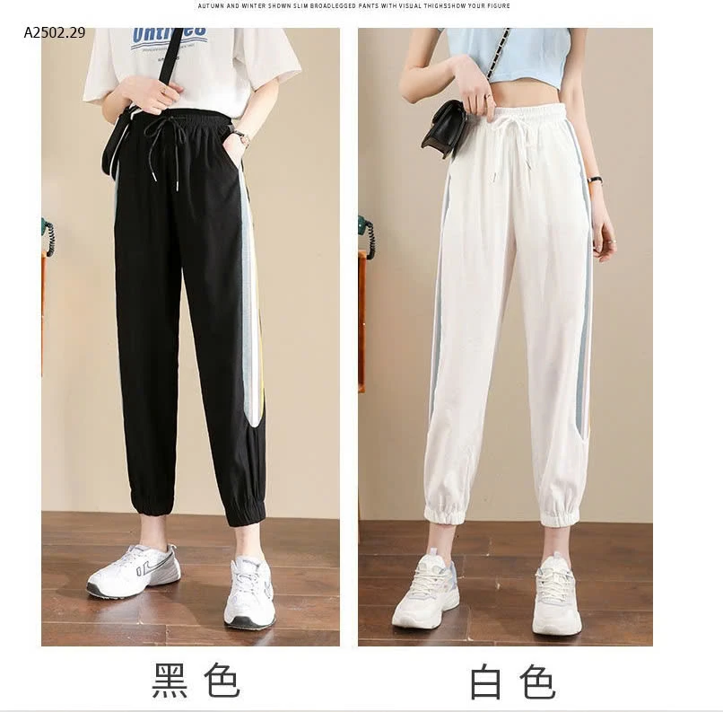 QUẦN JOGGER THỂ THAO-sỉ 95k