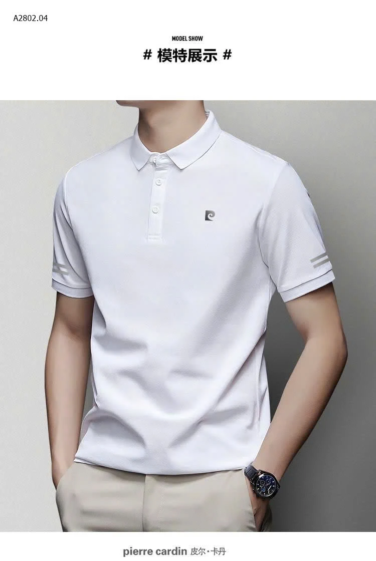 POLO NAM PIE-sỉ 280k