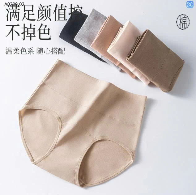 SET 6 QUẦN CHIP CẠP CAO - Sỉ 156k/1 set 6 chiếc mix màu 