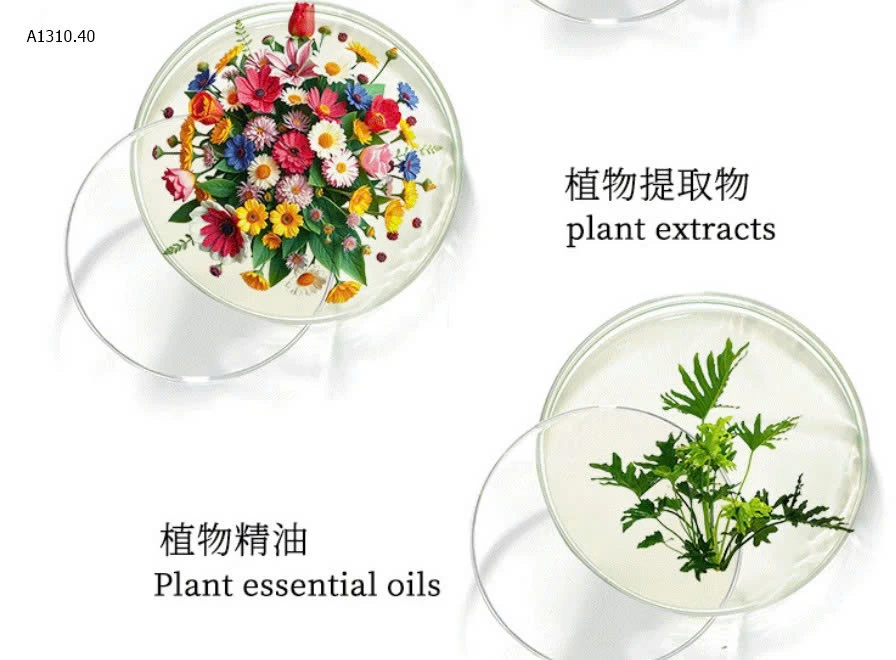 XÀ PHÒNG CHÙM NHO- sỉ 99k