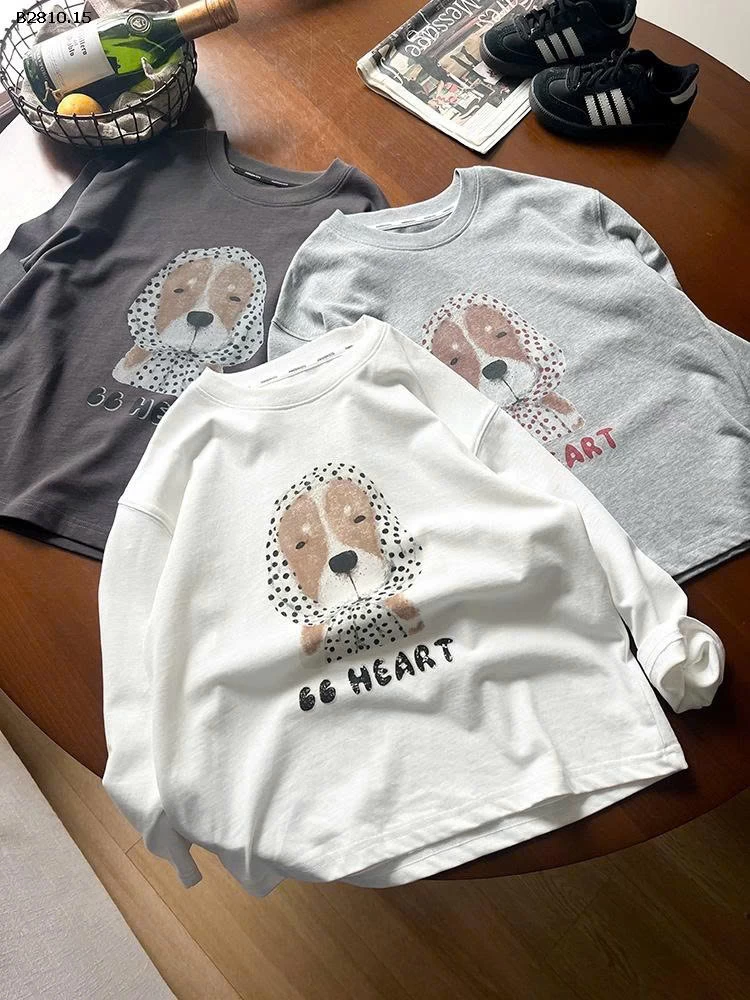 ÁO THUN DÀI TAY BG AMBB -Giá sỉ sz 90-150: 127k sz 160: 139k sz 170: 153k