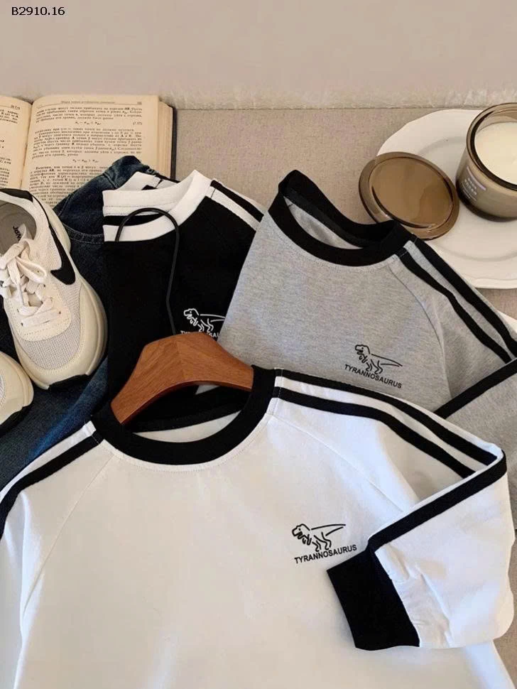 Áo thun tay dài raglan họa tiết khủng long thời trang thu đông 2025 cho bé- sỉ 129k