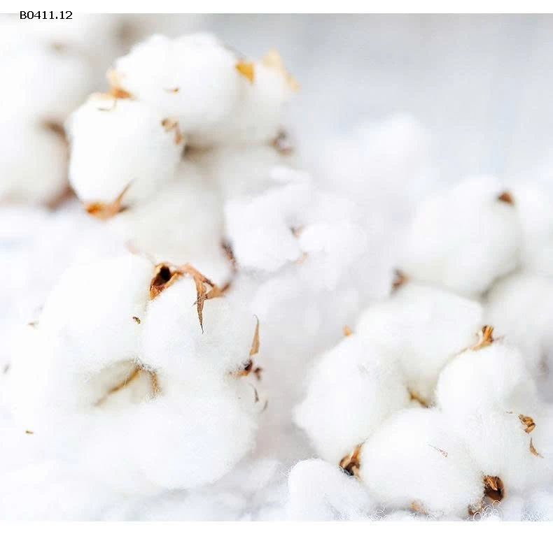 Áo sơ mi  ve áo ren  bé gái - sỉ 85k