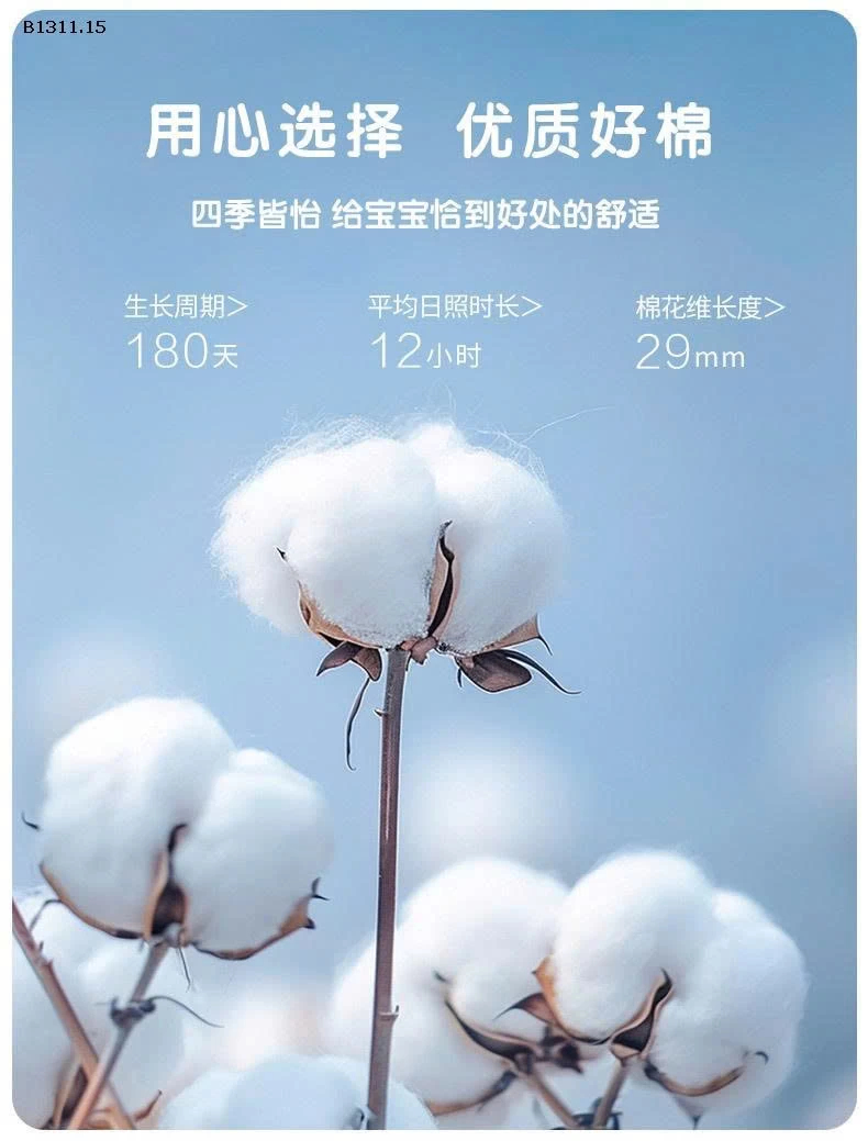 BỘ HOA NHÍ THU ĐÔNG BG-Giá sỉ sz 90-120 giá  102 size 130-160 giá 120k