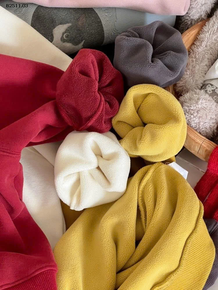 Áo nỉ chui đầu phong cách Hàn Quốc NHÀ AMBB- Giá sỉ  sz 90-150: 163k  sz 160: 175k  sz 170 : 190k