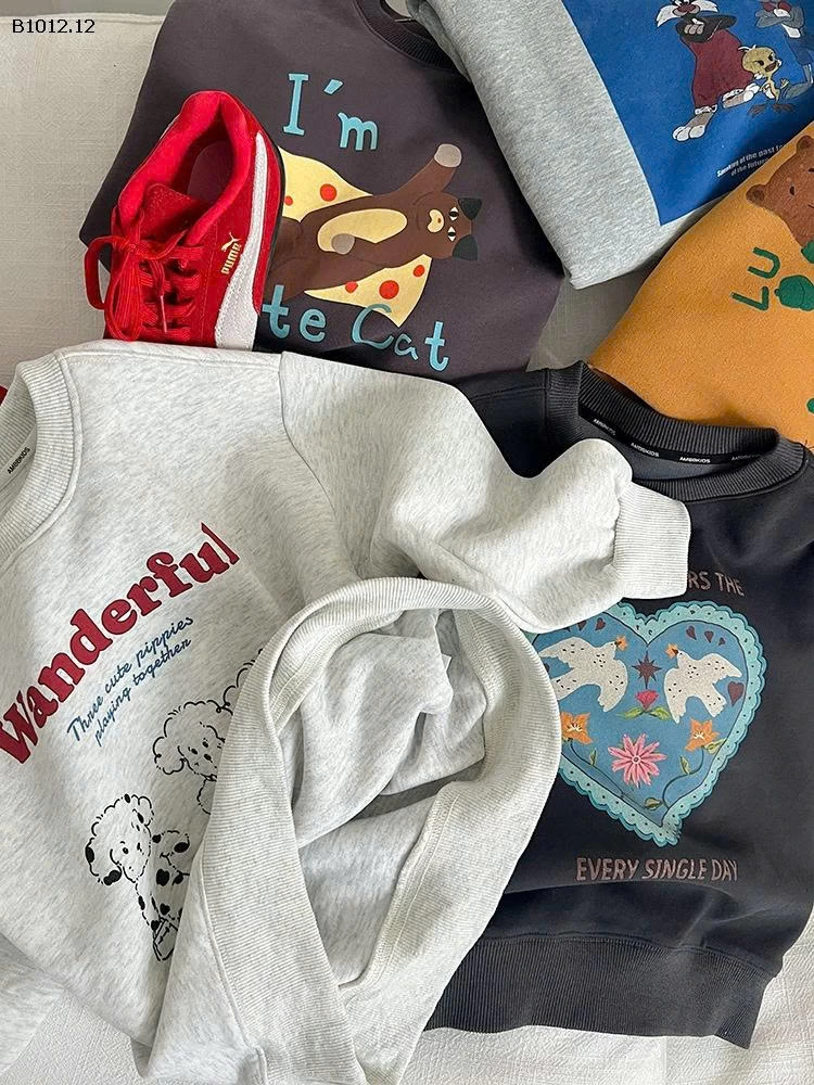 Áo hoodie hoạt hình thời trang nhà AMBB -Giá sỉ  sz 90-150 : 149k sz 160 : 163k sz 170  :  173k