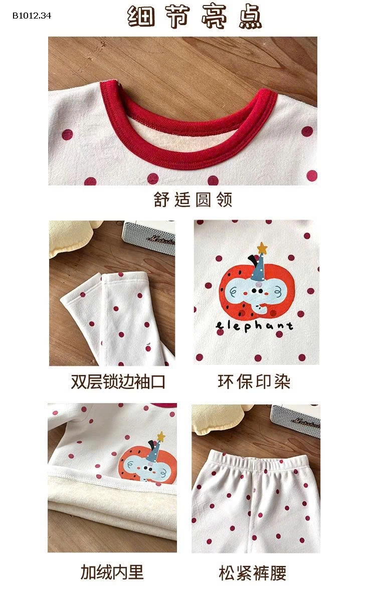 BỘ LINANXI CHÍNH HÃNG -sỉ 200k