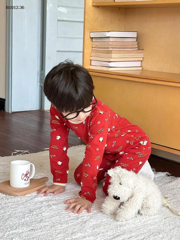 BỘ MẶC NHÀ THU ĐÔNG CHO BÉ-sỉ 145k