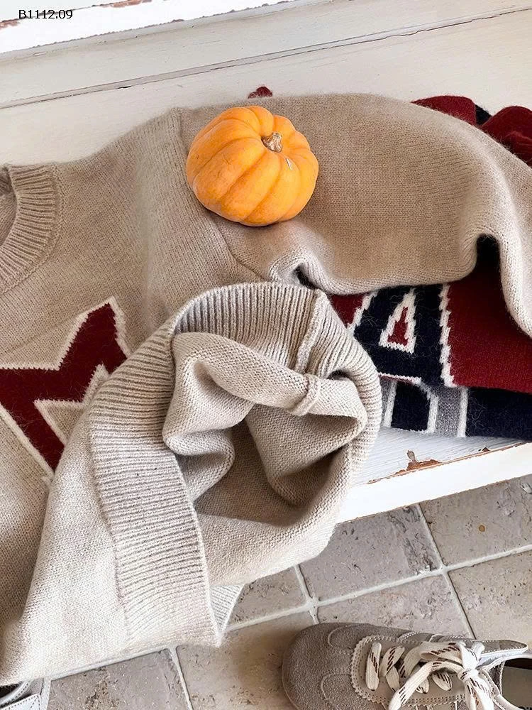 ÁO LEN CHỮ AMBBKIDS9-sỉ 165k