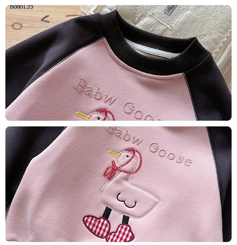 ÁO NỈ HOẠT HÌNH PHỐI MÀU -Giá sỉ 198k